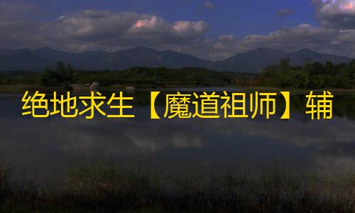 绝地求生【魔道祖师】辅助